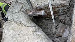 stcronans 2400.jpg
